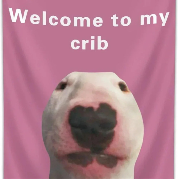 Welcome to My Crib Funny Flag 2x3Ft Wall Flag with 4 Brass Grommets for Party Ya - Picture 4 of 4